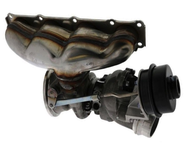 チバモ 1384498_x600.jpg