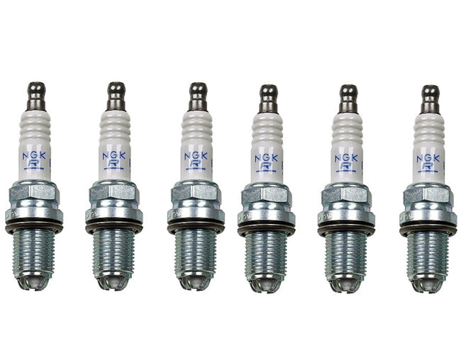 BMW E39 5-Series Spark Plug Kit OEM NGK (6 Pack) 12120037607