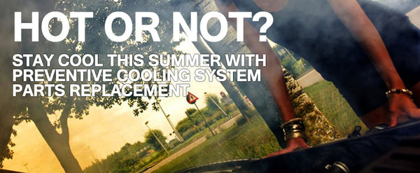 Why Inspecting Your BMW's Engine Cooling System Before Summer is Crucial: A Deep Dive into Prevention and Maintenance