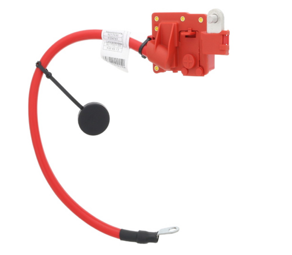 BMW X1 Battery Cable | 61129217031