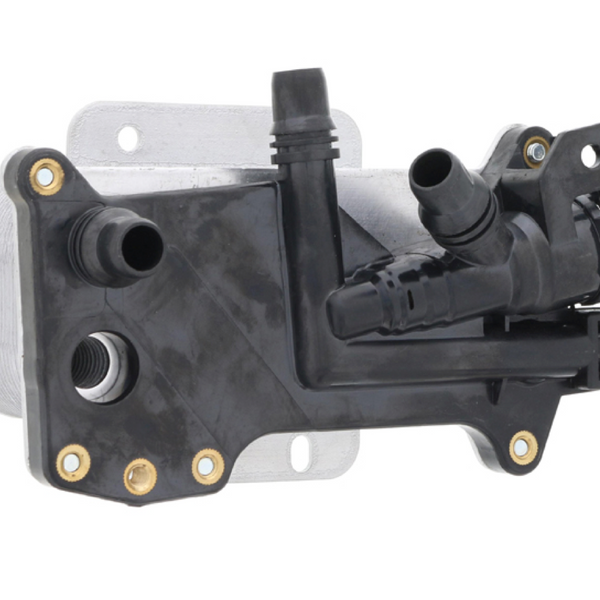 55_747f8829-0b33-43d8-a49f-