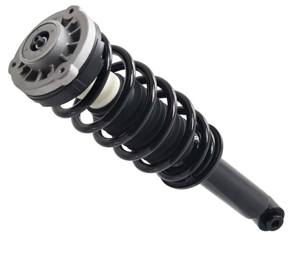 BMW X3/X4 Rear Shock Absorber Assembly By FCS 33526796317 FCS