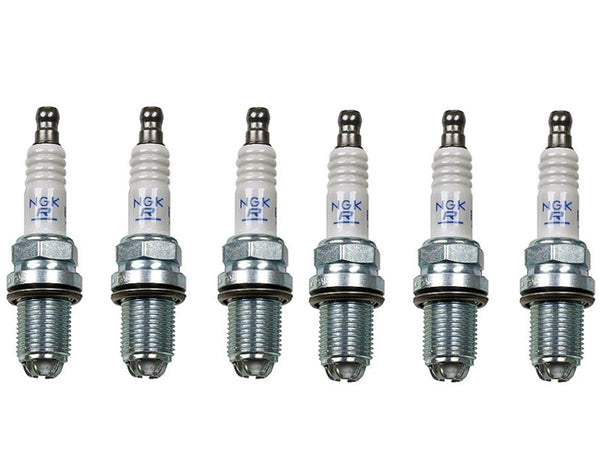 BMW E39 5-Series Spark Plug Kit OEM NGK (6 Pack) 12120037607